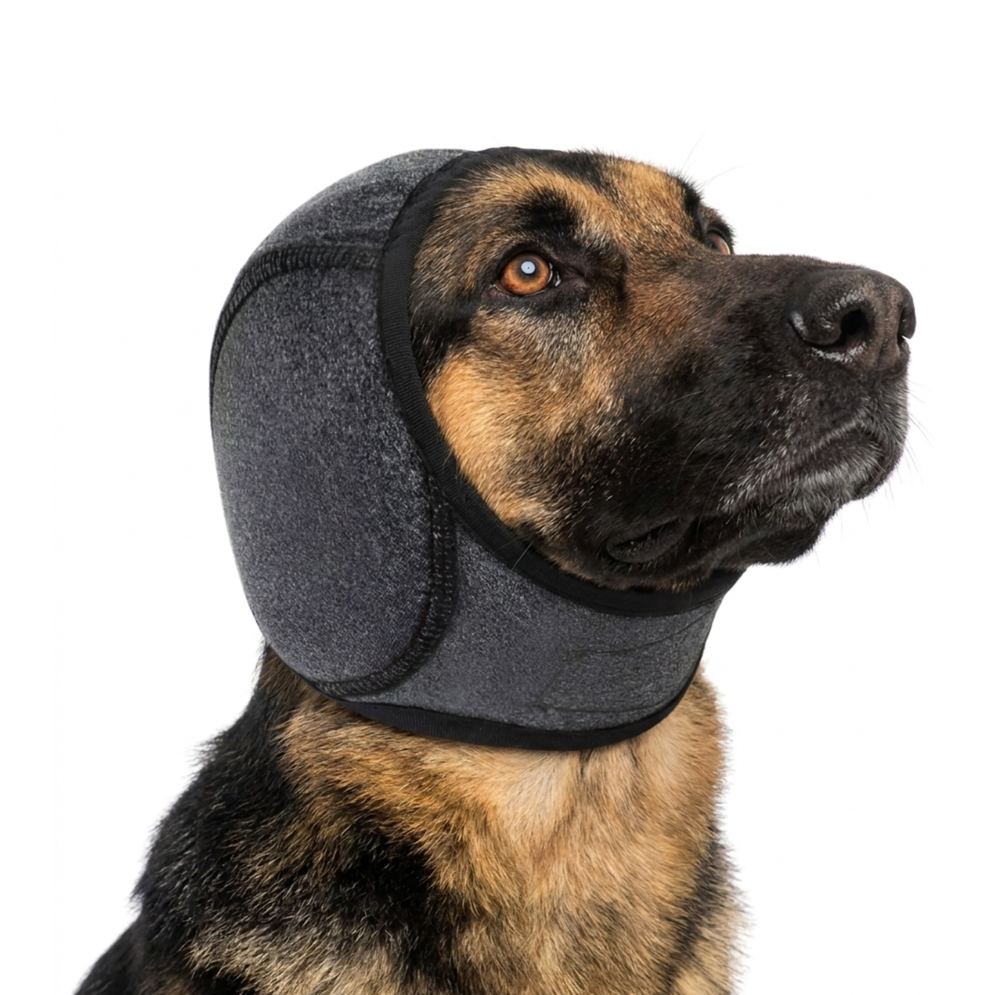 PupPeace | Noise Wrap