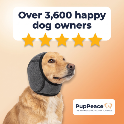 Peace wrap - Noise reduction for your dog